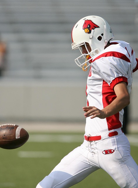 市场的份额 市场的份额