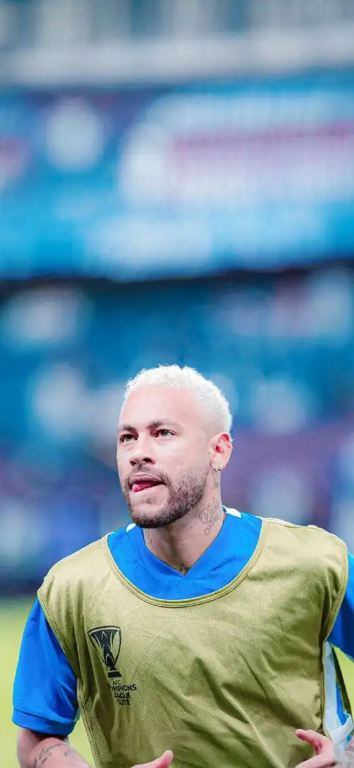 从技术角度 从技术角度